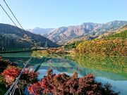 yu‐cyanさんのもみじ谷大吊橋の投稿写真1