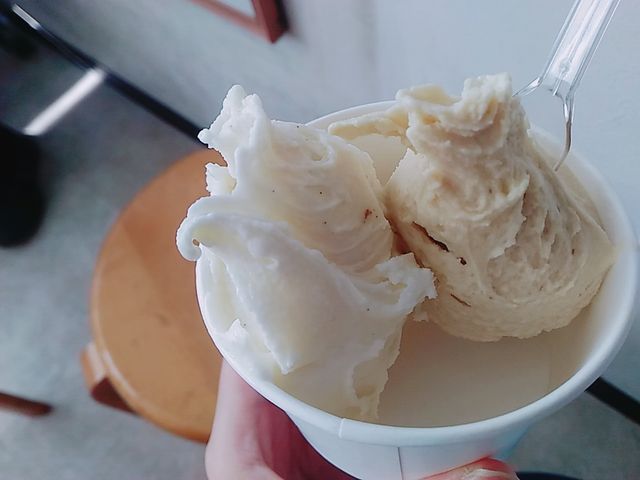 ダブル_飯田牧場アイスミルク・ショップ
