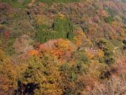 フルスピードさんの長崎鼻展望台の投稿写真1