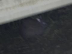 みおさんの観光ネットワーク奄美への投稿写真1