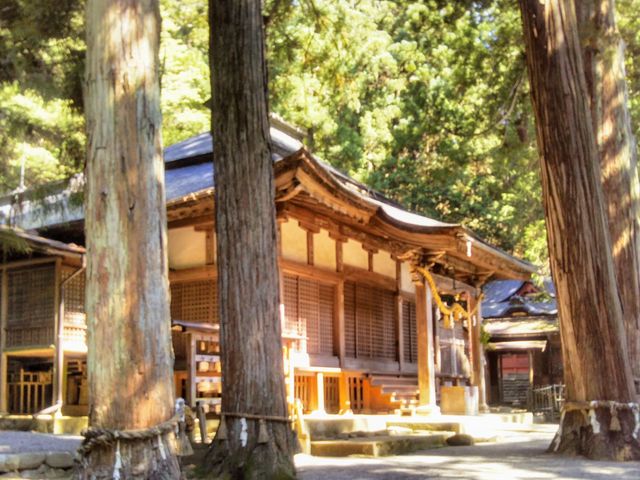日枝神社_日枝神社
