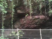 こめさんの笠山噴火口の投稿写真1