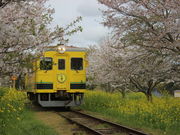 あおしさんのいすみ鉄道の投稿写真3