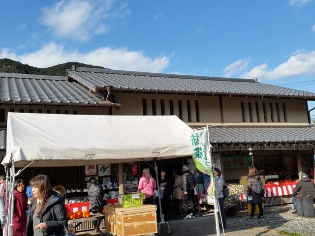 大繁盛_お茶ちゃ村