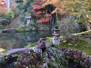 セイコさんの慈恩禅寺てっ草園の投稿写真6
