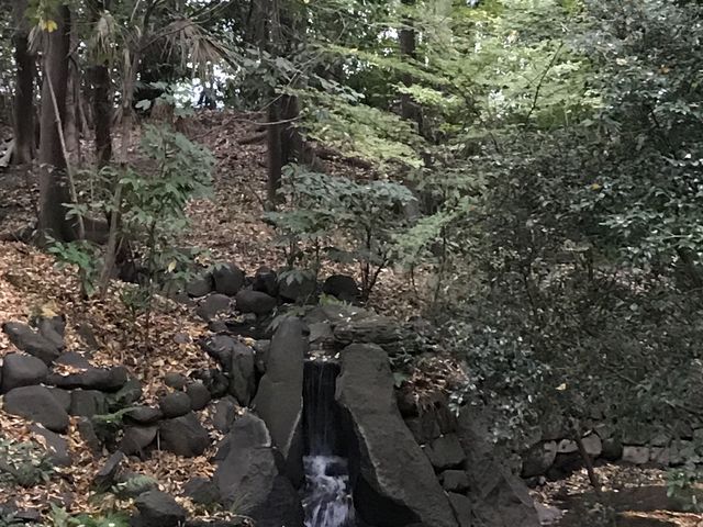 【小石川後楽園〜寝覚の滝】滝の奥がちょっと見えにくいのです_寝覚の滝(小石川後楽園)