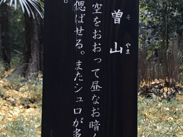 【小石川後楽園〜木曽山】解説の看板_木曽山(小石川後楽園)