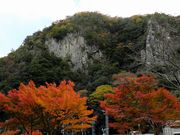 まるこさんの深山峡の投稿写真5