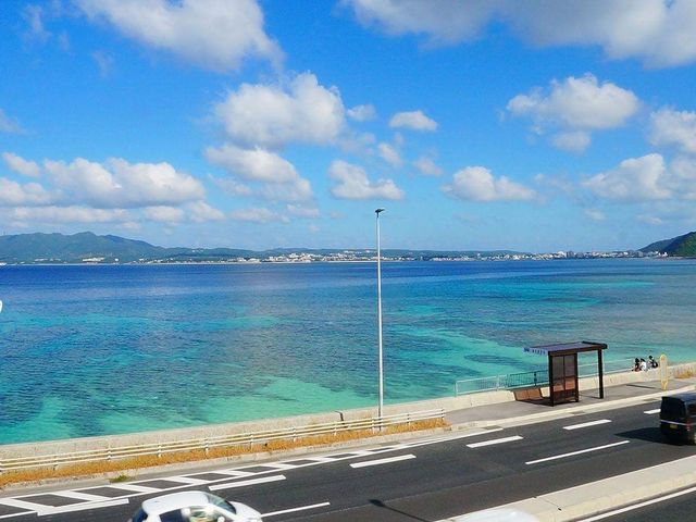 展望台から
_道の駅許田