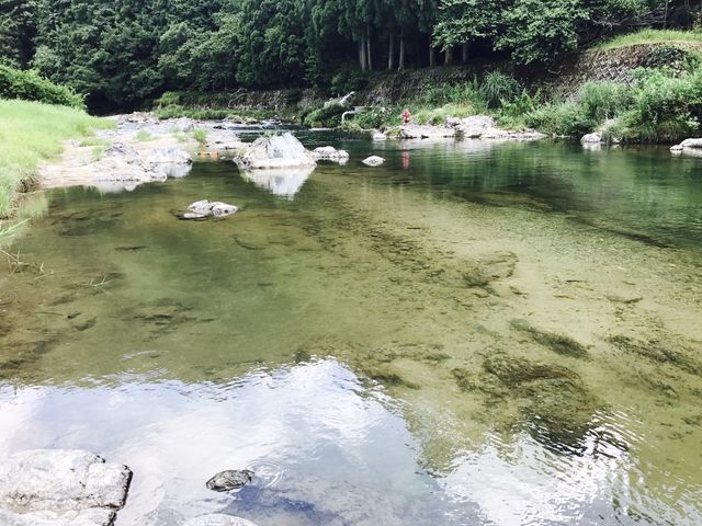 しゅんさんの千種川の投稿写真1