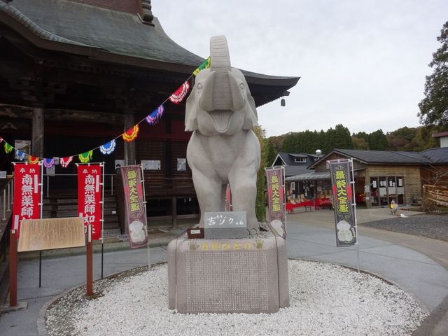 長福寿寺吉ゾウくん_長福寿寺
