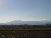 さとけんさんの相模の大凧センターの投稿写真3