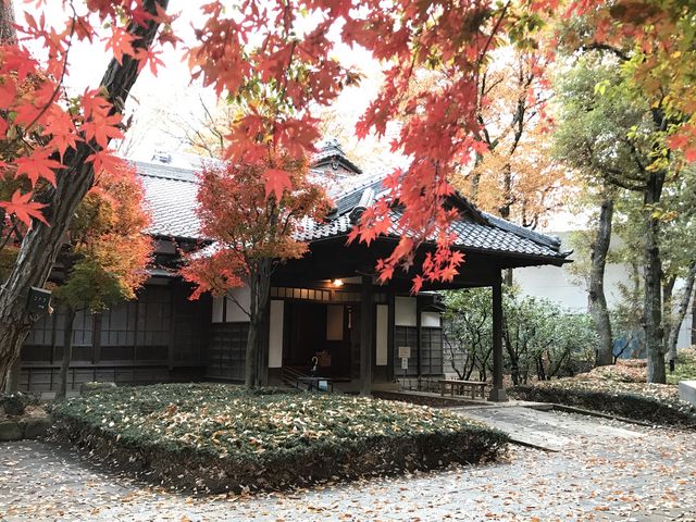 【江戸東京たてもの園〜高橋是清邸】外は美しい紅葉_高橋是清邸(江戸東京たてもの園)
