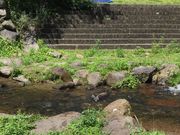 りんごさんのマウンテンストリーム岸本〔別所川渓流植物園〕の投稿写真1