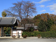 しんちゃんさんの宝林寺梵鐘の投稿写真1