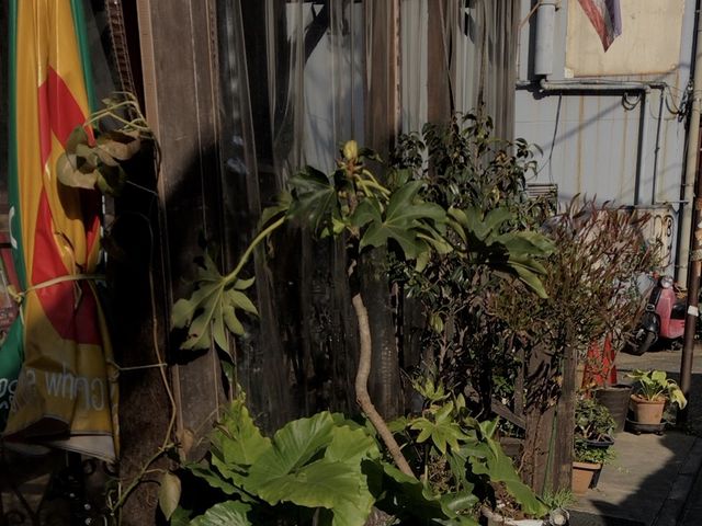 ややさんのサイアムタラートの投稿写真1