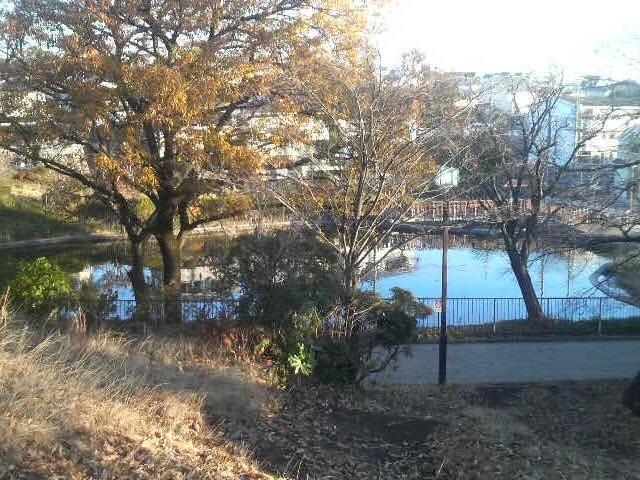 立野台公園_立野台公園
