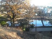 さとけんさんの立野台公園の投稿写真2