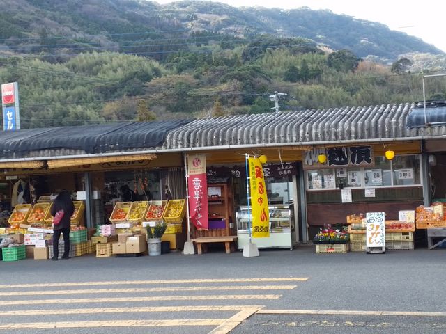 外の市場_マリンセンターおさかな村