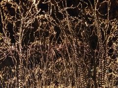 2017SENDAI光のページェントの写真2