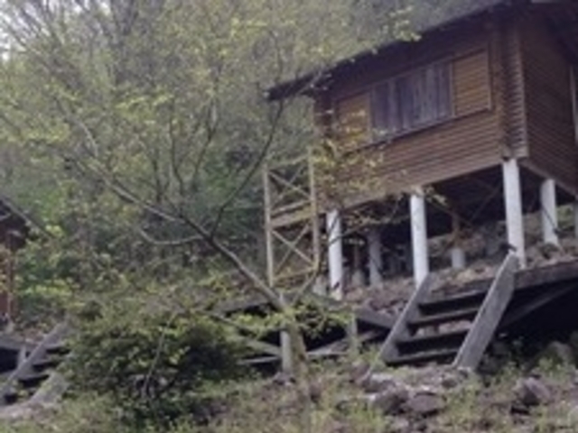 アクセルゼンカイさんの高鉢山キャンプ場の投稿写真1