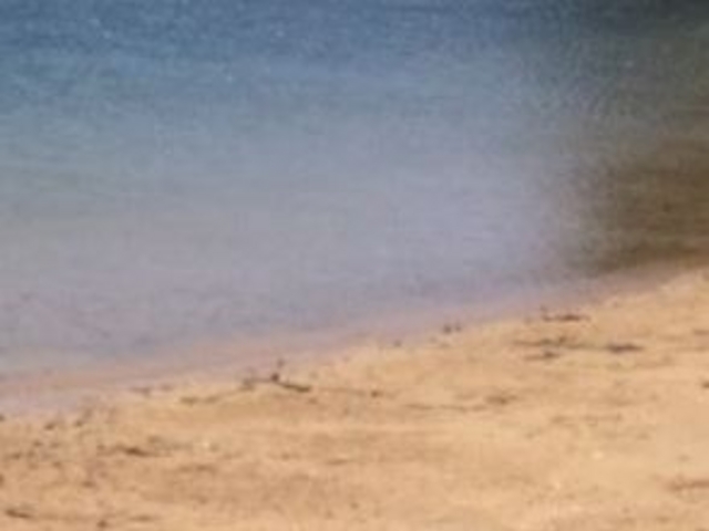 アクセルゼンカイさんの江の浦海水浴場の投稿写真1