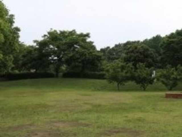 アクセルゼンカイさんの峰山キャンプ場の投稿写真1