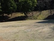 アクセルゼンカイさんのとらまる公園キャンプ場の投稿写真1