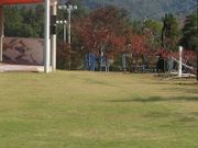 アクセルゼンカイさんの白鳥中央公園の投稿写真1