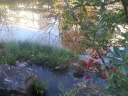 チー婆くんandガスパールくんさんの足立区立郷土博物館の投稿写真8