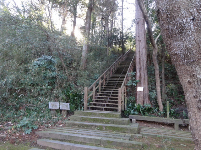 傾斜の緩やかな階段_王禅寺ふるさと公園