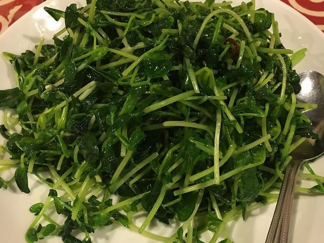 豆苗_チャイニーズガーデン 悟空 五反田店