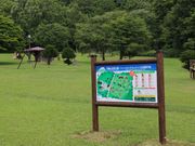 たかちゃんさんの羊蹄山自然公園フィールドアスレチックコースの投稿写真1