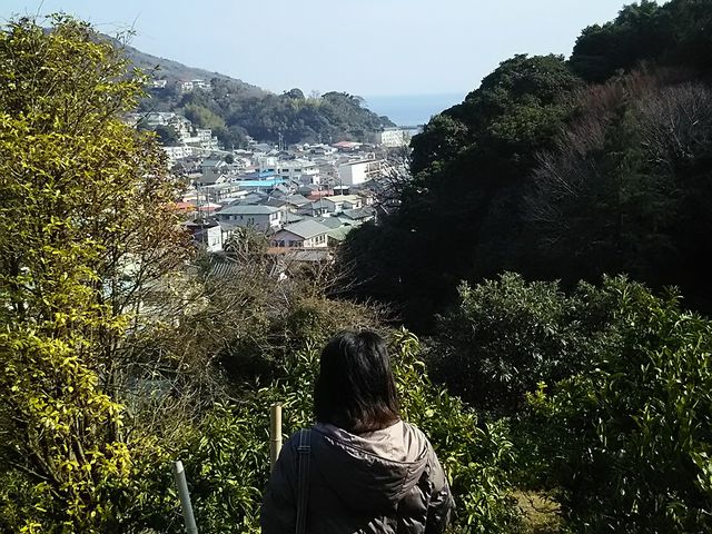 海の眺め_古屋園