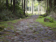 1200rtさんの二重峠石畳の投稿写真2