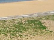 フルスピードさんの波戸岬キャンプ場の投稿写真1