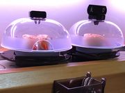 poporonさんの無添くら寿司 春日星見ヶ丘店の投稿写真1