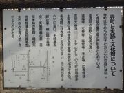 サビ猫さんの橋杭笑地蔵の投稿写真2