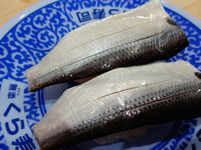 こはだ_くら寿司天白平針店