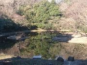菊ちゃんさんの代々木公園の投稿写真1