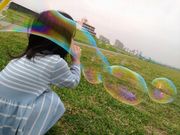 ぽゆぽゆさんの淀川河川公園西中島地区の投稿写真1