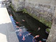 坊ちゃんさんの一般財団法人 飫肥城下町保存会の投稿写真1