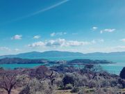 みぃさんの牛窓オリーブ園の投稿写真1