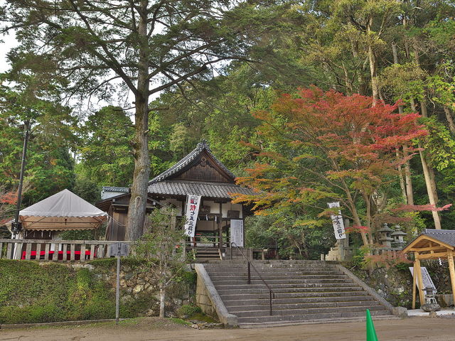 平岡八幡宮_平岡八幡宮