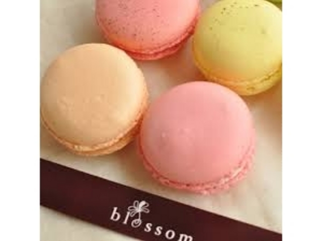 blossom_blossom