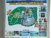 世田谷区等々力の住人さんの小坂田公園の投稿写真1
