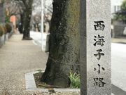 めのうさんの西海子小路の投稿写真1