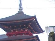 たさんの成田山公園の桜の投稿写真1