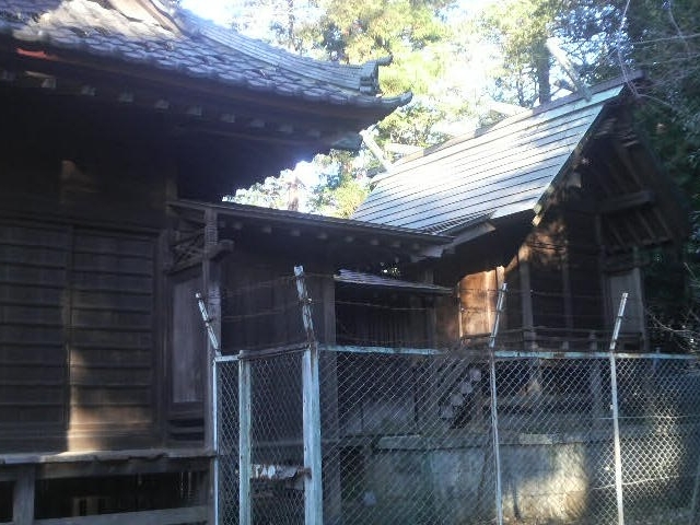 左馬神社の拝殿と本殿です_上和田左馬神社