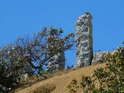 マックさんの志原海岸の投稿写真17